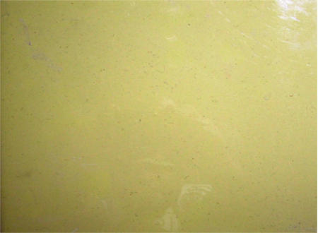 Piso epóxico decorativo Piso decorativo